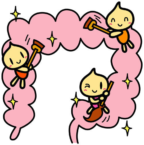 腸活