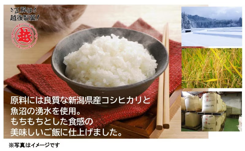 越後のごはん コシヒカリ180g×5個パック