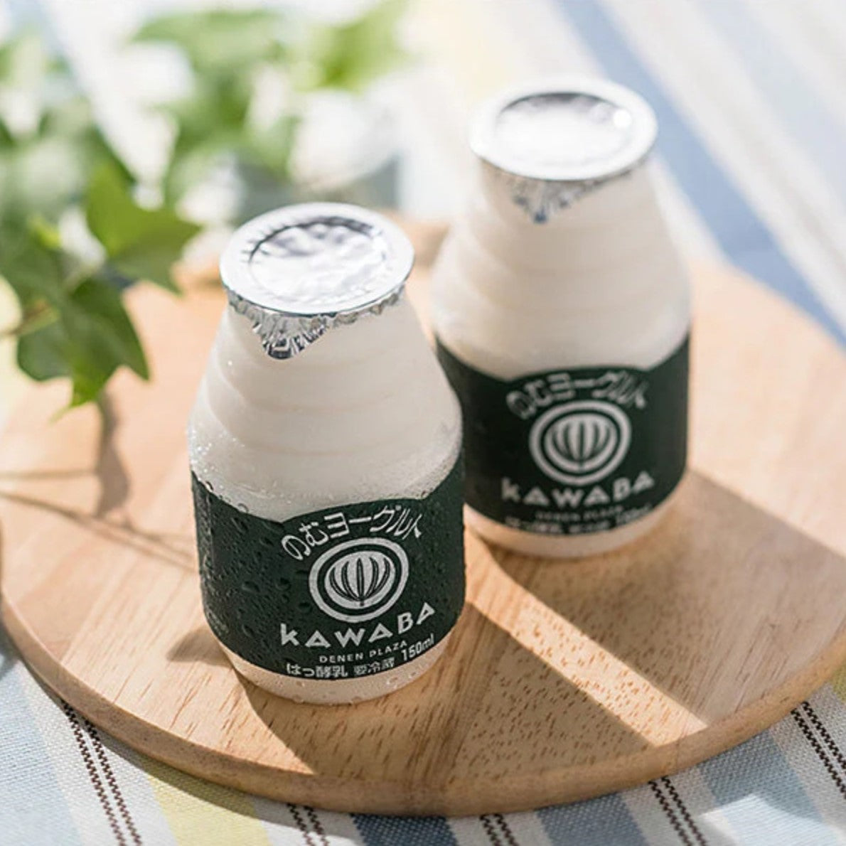 KAWABA YOGURT のむヨーグルト150ml×6本